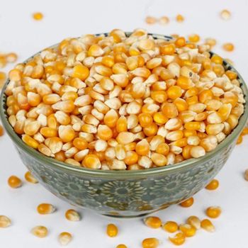 Organic Grain Provider Delivering Yellow Maize For Importers With Natural Farming Methods from malter group Organic Grain Provider Delivering Yellow Maize For Importers With Natural Farming Methods - malter group - Tanzania
