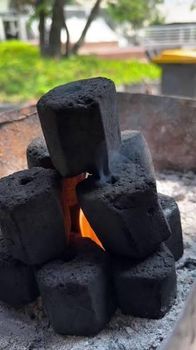 Coconut Briquette - PT SINO ARGENT TRADING - Indonesia