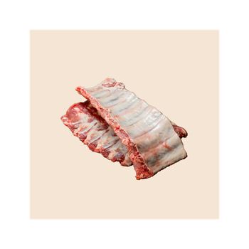 High grade frozen beef ribs prepared for food distribution and commercial supply needs - MT Trading GmbH - Germany