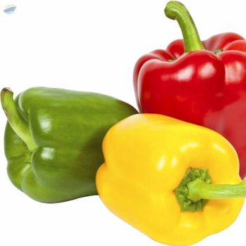 Fresh Capsicum -  Link Flow Canada Inc.  - Canada