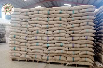 Robusta Coffee Beans screen 18,15 & 12 - CENTS COFFEE LTD - Uganda