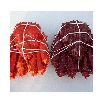 Live Red King Crab bulk supply wholesale premium quality seafood - Medcompex Gmbh - United Kingdom