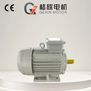Ye2 55kw 75HP High-Speed Variable-Frequency AC Motor for Precision Machine Tool Spindle - Gexin Electromechanical Co., Ltd. - China