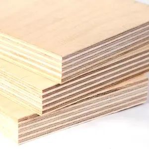 Customizable Heavy-Duty Plywood for Industrial Shelves and Workbenches - Beijing Tianyuan Rongli Technology Co., Ltd. - China