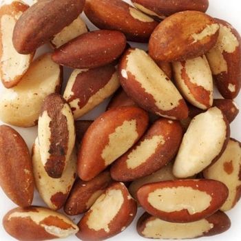 Affordable Natural Brazil Nuts Whole Premium Quality Nuts Cheap Wholesale Options from A.C.P. AGRICULTURE COMPANY LIMITED Affordable Natural Brazil Nuts Whole Premium Quality Nuts Cheap Wholesale Options - A.C.P. AGRICULTURE COMPANY LIMITED - Thailand