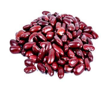 Wholesale Fresh Farm Red kidney beans - KOFONS BUSINESS SOLUTIONS PTY LTD - South Africa