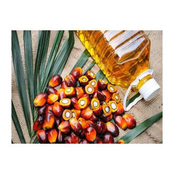 Palm nuts wholesale bulk supply discount price pure and high quality - AMAC GOLD AND DIAMOND METALS SUPPLIER - Germany