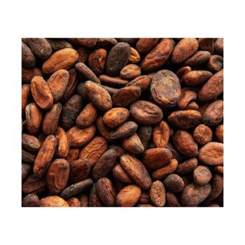 Best Quality Wholesale Cocoa Bean For Sale In Cheap Price from AMAC GOLD AND DIAMOND METALS SUPPLIER Best Quality Wholesale Cocoa Bean For Sale In Cheap Price - AMAC GOLD AND DIAMOND METALS SUPPLIER - Germany
