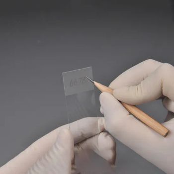 Wholesale CE Certified Laboratory Microscope Glass Slides - SHANGHAI TEAMSTAND CORPORATION - China