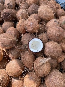 Coconuts ,copra , mature , fresh young coconut , coconut meat - Pt maxindo tunas abadi - Indonesia