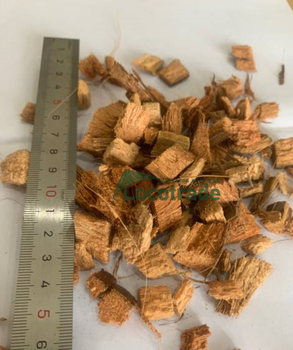 Coco husk chip Size Range 0.5–6cm Moisture Level Max 50% Packaging PP bag or Jumbo bag Secondary Application Pet Care Primary Application Horticulture - Locotrade Co., Ltd. - Vietnam
