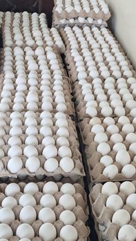 Fresh White Shell Eggs - Dexter Industries - India
