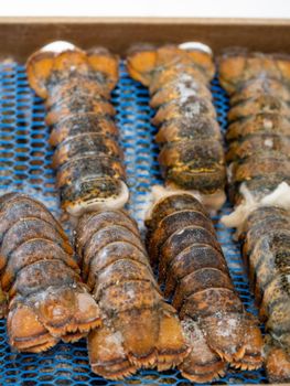 Frozen Lobster Tails Premium Grade Of Product Quality Export Manufacture Market best quality - CPW TRADE LTD - United Kingdom
