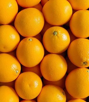 Fresh Valencia Oranges Export Quality - NINE FRUITS EXPORTS (PTY) LTD - South Africa