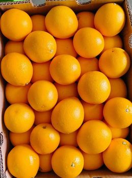 CLASS 1 Export quality Fresh South African Valencia Oranges – Ready for Export! Excellent Packaging from NINE FRUITS EXPORTS (PTY) LTD CLASS 1 Export quality Fresh South African Valencia Oranges – Ready for Export! Excellent Packaging - NINE FRUITS EXPORTS (PTY) LTD - South Africa