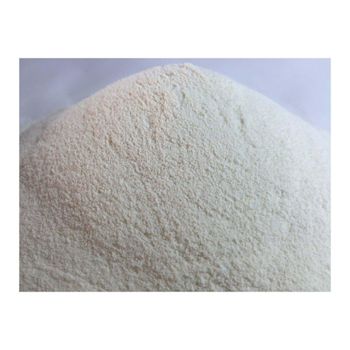 Cheap price whey protein bulk supply wholesale pure quality muscle building powder Premium whey protein - Koto Global Trade SPRL - Belgium