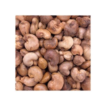 Raw Cashew Nuts offered at discount price for snack food and nut processing industries - Mundus Exports Pty Ltd - South Africa