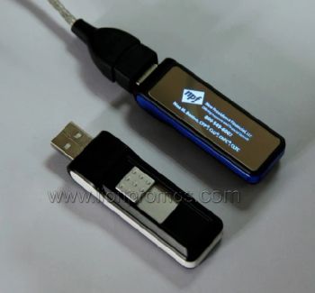 Custom Promotional Gift USB Flash Drive Glow in Dark - LION PROMOTIONAL GIFT CO., LIMITED - China