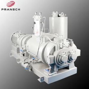 Ds450 Dry Screw Vacuum Pumps for Drying Filter Freeze and Transformer Drying - DG Pransch Air Tech LLC - China