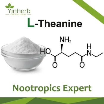 Yinherb Nootropics Supplements L-Theanine 99% Raw Powder Sample Free Origin China Model NO. YH-TH Trademark Yinherb Specification - Xi'an Yinherb Bio-Tech Co., Ltd. - China