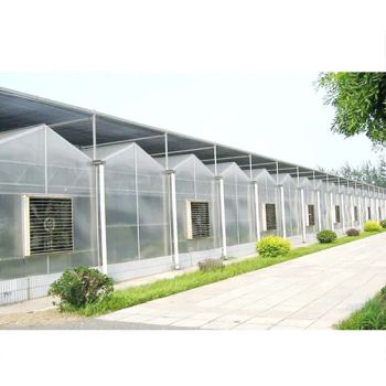 Agg Free Sample 4X8 UV Weather Resistance Plastic Sunroof Polycarbonate Sheet 5mm 7mm 10mm Polycarbonate Glass Greenhouse Panels - Anhui Tpack Import&Export Co., Ltd - China