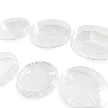 150mm Plastic Petri Dish Steril Agar Petri Dishes for Vital Laboratory Equipment - Jinan Babio Biotechnology Co., Ltd. - China