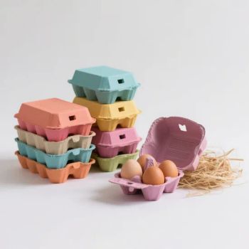 Wholesale Biodegradable Disposable Egg Trays Eggs Packaging Boxes Pulp Paper Egg Tray with Lid - Dezhou Chunyang Environmental Protection Materials Co., Ltd. - China