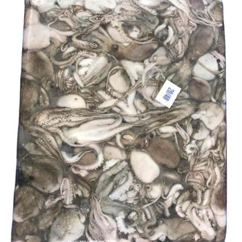 HIGH QUALITY BABY OCTOPUS Content NA Ingredients NA Brand Name AST Model Number NA Variety Octopus Shelf Life 24MONTHS Specification - AMAZE SEAFOOD TRADE - India