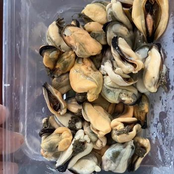 2024 NEW Frozen Mussel meat without shell Frozen mussel mea t Frozen mytilus edulis meat - Fuzhou BeautifulAgricultural Development Co., Limited - Hong Kong