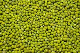 Premium  Green Mung Bean Fat 1.2 G Iron 6.7 Mg Fiber 16.3 G Purity 99% Min Protein 23.9 G Calcium 132 Mg Energy ~347 - BF GLOBAL TRADING (PTY) LTD - South Africa