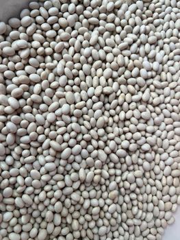 round White beans Grade 1 Color White Origin Ethiopia Package Size 50kgs - VAX IMPORT AND EXPORT PLC - Ethiopia