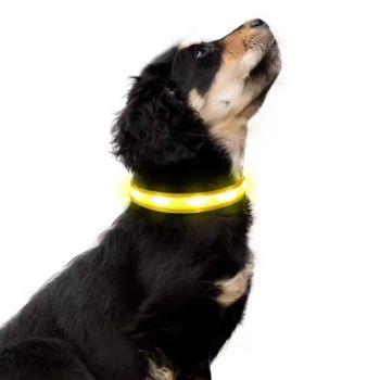 Hot Selling LED Pet Dog Collars for Pet Accessories Width 3CM Origin China Condition New Application Home Type LED - Shenzhen Qida Technology Co., Limited - China