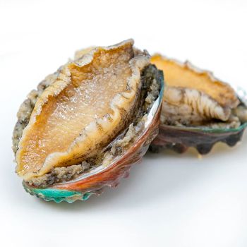Frozen Abalone Frozen Seafood Wholesale Abalone with Shell Abalone -  DAEWKAEW PANTAMANG Co., Ltd - Thailand