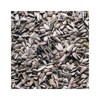 Low price Sunflower Seeds bulk supply wholesale high nutrition export ready - MASI TRADING GMBH - Germany