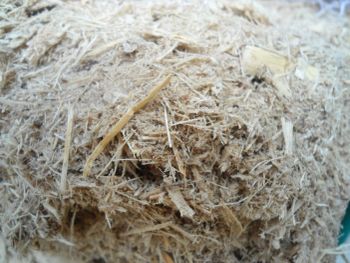 Natural Sugarcane Bagasse Powder Content None Origin Thailand Shelf Life 12 Months Sugarcane Bagasse Powder N/A, N/a Sto - Thai Agri Company - Thailand