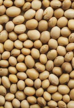 Agriculture products and chemicals from Mauli International Agriculture products and chemicals - Mauli International - India