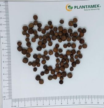 ALLSPICE Ash Content 6% Country Of Origin Mexico Scientific Name Pimenta Dioica Total Major Foreign Material 1% Biosterilization Service Can - PLANTAMEX - Mexico