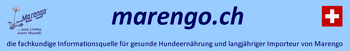 Product from MARENGO.CH, IMPORT FÜR DIE SCHWEIZ Product – product photo, Fresh Wheat Grain products found from trusted suppliers, wholesalers, manufacturers & exporters Listing
