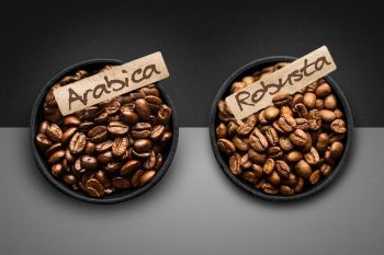 High Quality Pure Roasted Coffee Beans Arabic & Robusta - AGRONOVA - United States