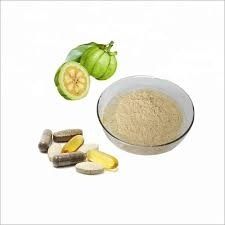 Garcinia Extract Powder from SHREE SAI BIOTECH Garcinia Extract Powder - SHREE SAI BIOTECH - India