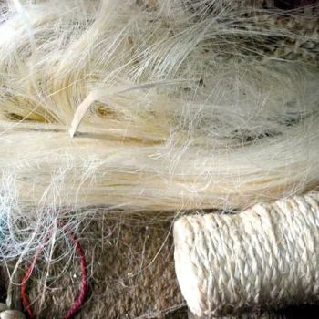 100% Natural sisal fiber for sale - Njang Investments Limited - Kenya