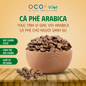 Cà phê Arabica - Arabica Coffee from OCOP VIET COMPANY LIMITED Cà phê Arabica - Arabica Coffee – product photo, Unwashed Arabica Coffee products found from trusted suppliers, wholesalers, manufacturers & exporters Listing