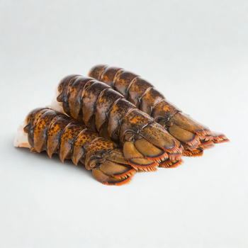 Fresh Frozen Lobster Tail Ocean Harvest Premium Seafood Perfect For Grilling Baking Broiling Special Events A - TRADECENTRIC LLC - United States