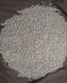 Chickpeas Count 50-52 Non Sortex (weevils 0.15) – product photo, Chickpea products found from trusted suppliers, wholesalers, manufacturers & exporters Listing