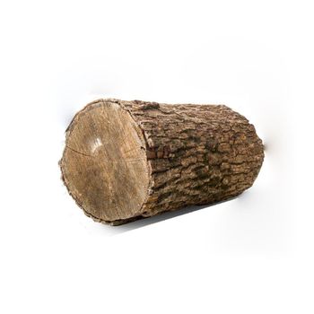 Wholesale supplier of premium Pine Logs with fast delivery from BMU TRADING GMBH Wholesale supplier of premium Pine Logs with fast delivery - BMU TRADING GMBH - Germany