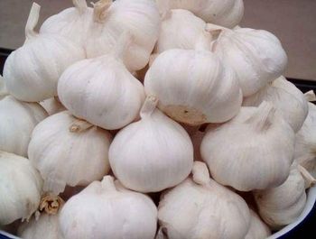 ORGANIC FRESH GARLIC from AGRO AFRIQUE COMPANY LIMITED ORGANIC FRESH GARLIC - AGRO AFRIQUE COMPANY LIMITED - Tanzania
