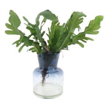 Fayfun Artificial Fern Plant 33cm Green Resin 1Y MOQ720 MOQ 720 Logo Customized Size Customized Origin Shandong Style Customized - Shenzhen Fayfun Crafts Co., Ltd. - China