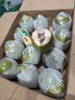 Fresh Coconut _ Fresh unpeeled coconut – product photo, Fresh Coconut Water products found from trusted suppliers, wholesalers, manufacturers & exporters Listing