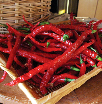 Long Cayenne Chili Pepper Flavor Hot Taste Color Bright Red Form Slender Shape Usage Fresh, Dried, Or Ground Into - Kenya Organic Farms - Kenya