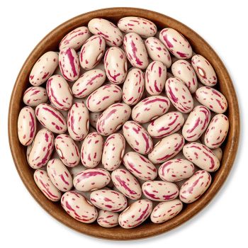 Fresh Cranberry Beans Clean Dry Natural Beans With Rich Nutrition For Food Preparation Buy Fast Delivery Premium Quality Wholesale Naturally Perfect For Home Kitchen And Industry - wood traders - Poland